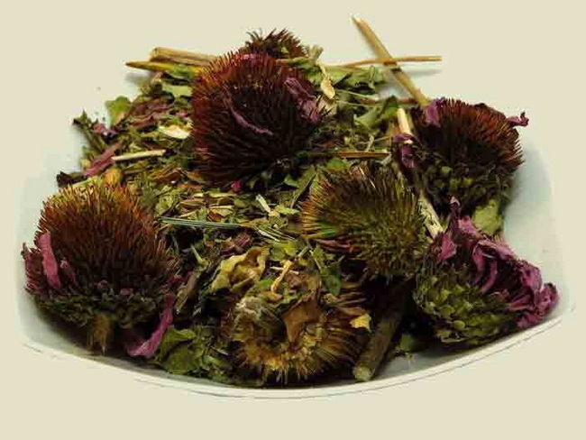 گل اکیناسه اعلاء و خالص (سرخارگل) ۵۰گرم